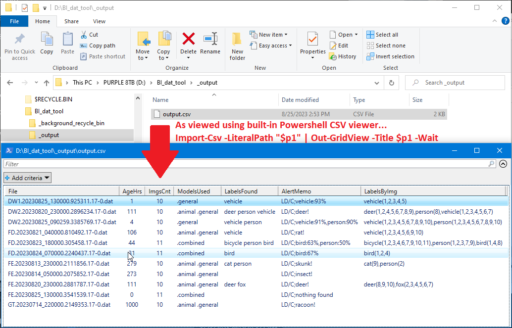 bi_dat_tool_csv_output.png