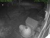 backyard.20150123_205541.jpg