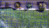 Deep_IVS_Intrusion_and_Tripwires.png