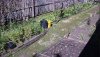 sideyard view.JPG