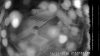 snapshot_520472771.jpg