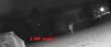 2 MP night 3.jpg