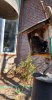 front view Amcrest IP2M-841B-v3.jpg