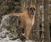 2019-Mar-03--17h49m40s.jpg