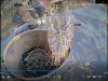1-13-22 barrel cam both owls.jpg