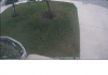frontdoorcamera.png