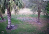 24 screen middle_bird feeder 9 feet high.png