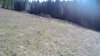 back yard.jpg