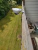 PTZ_camera_balkon.jpg