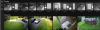 Picture2.png