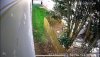 IMG_7810.jpeg