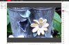 Screen Shot 2017-05-24 at 16.24.13.jpg