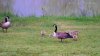 20170526_145316.jpg