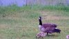 20170526_145350.jpg