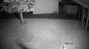 IR Light -5.jpg