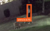 person2.png