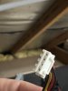 IMG_6379.jpeg