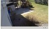 4mm back yard1.jpg