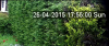 cam_IE.png