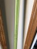 IMG_4337.jpeg
