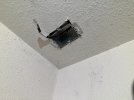 IMG_0081.jpeg
