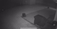 IMG_2123.jpeg