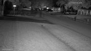 NVR_Locust Lynbrook_main_20250311053951_@3.jpg