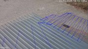 Full Zoom.jpg