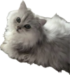1743211682980.png