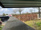 IMG_1548.jpeg