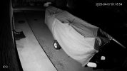 vlcsnap-2025-04-12-22h34m11s965.jpg