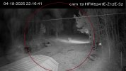 Cam19 ir ring.jpg