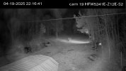 cam 19.jpg