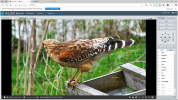 Screenshot (303).png