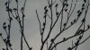 20170926_164626_ch2.jpg