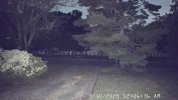 ptz-white light.JPG