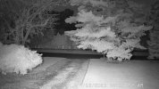 ptz-ir light.JPG