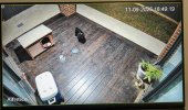 IMG_2105.jpg