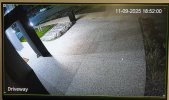 IMG_2113.jpg