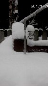 Snow Cam  Image.jpg