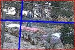 Capture1.JPG