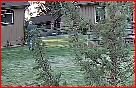 Capture2.JPG