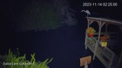 Home_GatorCam-Color4K-T_main_20231114022500_@5.jpg