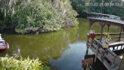 3-Home_GatorCam-Color4K-T_main_20230728085953_@5.jpg
