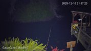 192.168.1.110_GatorCam-Color4K-T_main_20251216215646_@1.jpg
