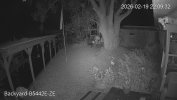 192.168.1.110_Backyard-B5442E-ZE _main_20260219220922_@1.jpg