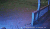 SmartSelectGIF_2017-12-12-18-25-31.gif