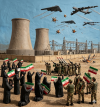 IranianHumanShield.png