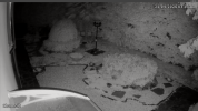 test camera night1.png