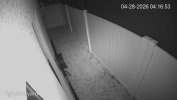 ArmandoP2P_rightside yard_main_20260428041653_@10.jpg